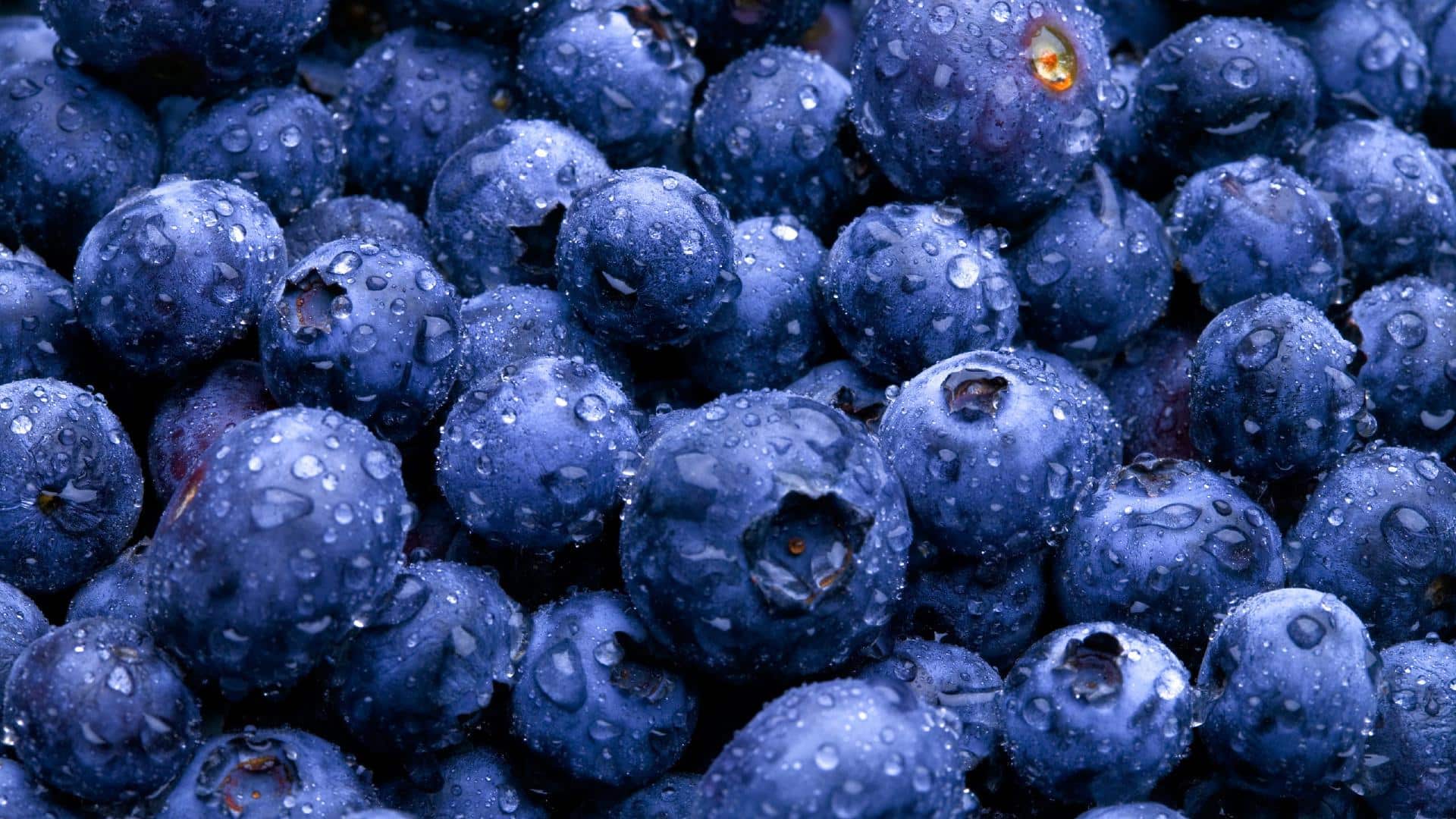 Confiture de Myrtille sans pépins – Image 3