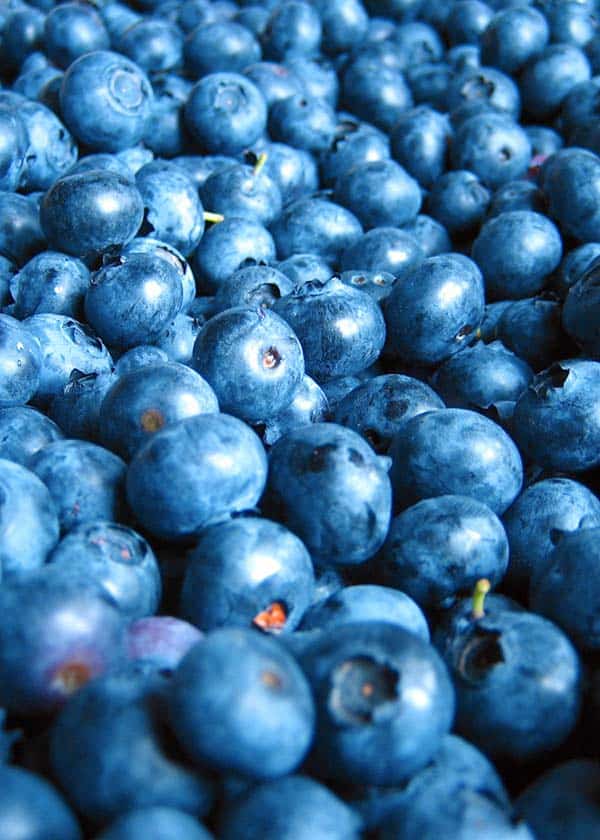 Confiture de Myrtille sans pépins 90 g – Image 2
