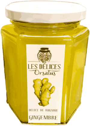 Délice de Racine de Gingembre